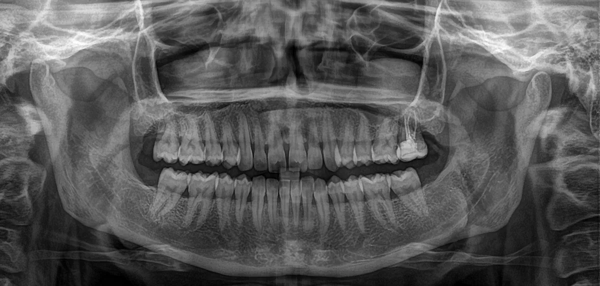 Dentist profile